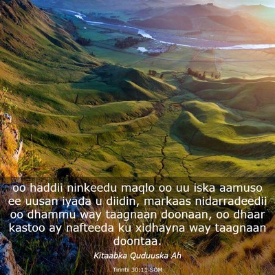 Picture 03 - Tirintii 30:11 SOM - oo haddii ninkeedu maqlo oo uu iska aamuso ee - Bible Verse Picture