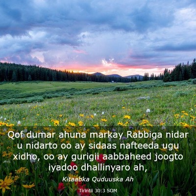 Picture 03 - Tirintii 30:3 SOM - Qof dumar ahuna markay Rabbiga nidar u nidarto oo - Bible Verse Picture