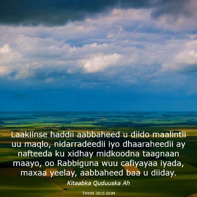 Picture 03 - Tirintii 30:5 SOM - Laakiinse haddii aabbaheed u diido maalintii uu - Bible Verse Picture