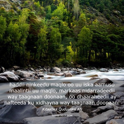 Picture 03 - Tirintii 30:7 SOM - haddii ninkeedu maqlo oo uu iska aamuso maalintii - Bible Verse Picture