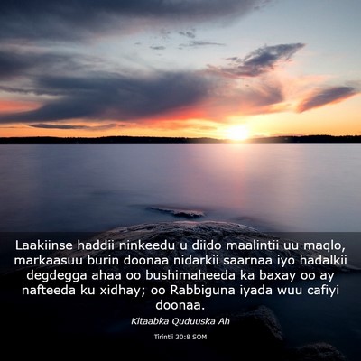 Picture 03 - Tirintii 30:8 SOM - Laakiinse haddii ninkeedu u diido maalintii uu - Bible Verse Picture