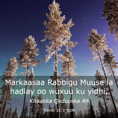 Picture 03 - Tirintii 31:1 SOM - Markaasaa Rabbigu Muuse la hadlay oo wuxuu ku - Bible Verse Picture