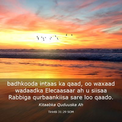 Picture 03 - Tirintii 31:29 SOM - badhkooda intaas ka qaad, oo waxaad wadaadka - Bible Verse Picture