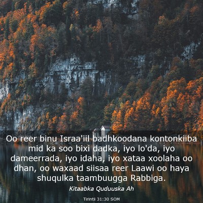 Picture 03 - Tirintii 31:30 SOM - Oo reer binu Israa'iil badhkoodana kontonkiiba - Bible Verse Picture