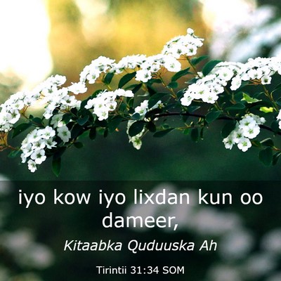 Picture 03 - Tirintii 31:34 SOM - iyo kow iyo lixdan kun oo - Bible Verse Picture