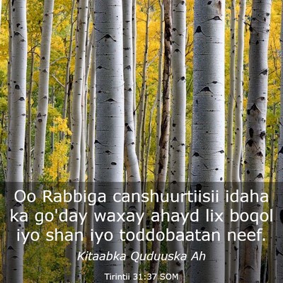 Picture 03 - Tirintii 31:37 SOM - Oo Rabbiga canshuurtiisii idaha ka go'day waxay - Bible Verse Picture