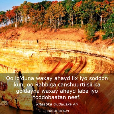 Picture 03 - Tirintii 31:38 SOM - Oo lo'duna waxay ahayd lix iyo soddon kun, oo - Bible Verse Picture