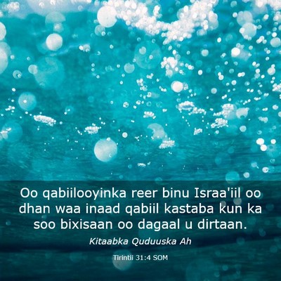 Picture 03 - Tirintii 31:4 SOM - Oo qabiilooyinka reer binu Israa'iil oo dhan waa - Bible Verse Picture
