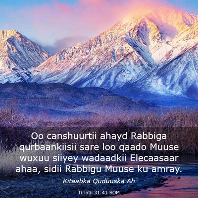 Picture 03 - Tirintii 31:41 SOM - Oo canshuurtii ahayd Rabbiga qurbaankiisii sare - Bible Verse Picture