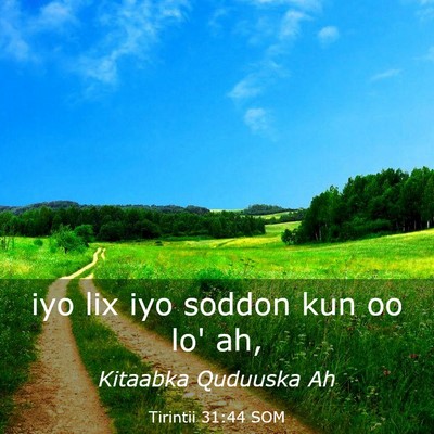 Picture 03 - Tirintii 31:44 SOM - iyo lix iyo soddon kun oo lo' - Bible Verse Picture