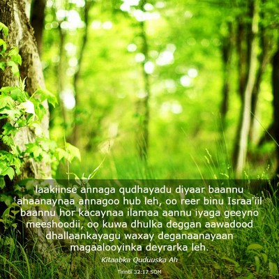 Picture 03 - Tirintii 32:17 SOM - laakiinse annaga qudhayadu diyaar baannu - Bible Verse Picture