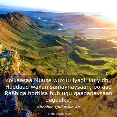 Picture 03 - Tirintii 32:20 SOM - Kolkaasaa Muuse wuxuu iyagii ku yidhi, Haddaad - Bible Verse Picture