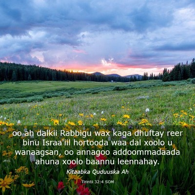 Picture 03 - Tirintii 32:4 SOM - oo ah dalkii Rabbigu wax kaga dhuftay reer binu - Bible Verse Picture