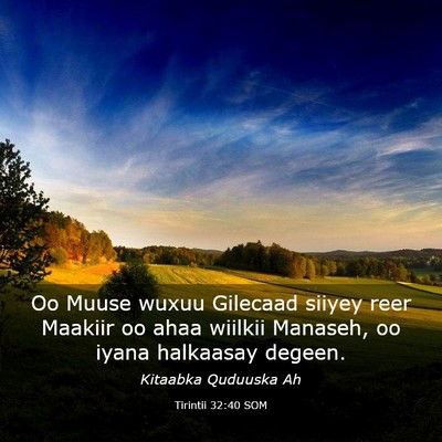 Picture 03 - Tirintii 32:40 SOM - Oo Muuse wuxuu Gilecaad siiyey reer Maakiir oo - Bible Verse Picture