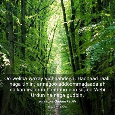 Picture 03 - Tirintii 32:5 SOM - Oo weliba waxay yidhaahdeen, Haddaad raalli naga - Bible Verse Picture