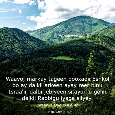 Picture 03 - Tirintii 32:9 SOM - Waayo, markay tageen dooxadii Eshkol oo ay dalkii - Bible Verse Picture