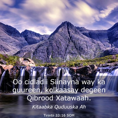 Picture 03 - Tirintii 33:16 SOM - Oo cidladii Siinayna way ka guureen, kolkaasay - Bible Verse Picture