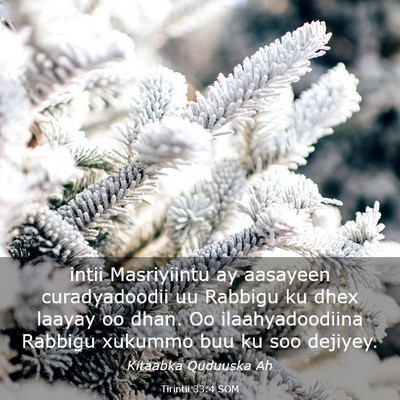 Picture 03 - Tirintii 33:4 SOM - intii Masriyiintu ay aasayeen curadyadoodii uu - Bible Verse Picture