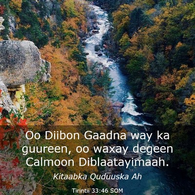 Picture 03 - Tirintii 33:46 SOM - Oo Diibon Gaadna way ka guureen, oo waxay degeen - Bible Verse Picture