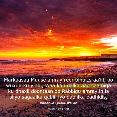 Picture 03 - Tirintii 34:13 SOM - Markaasaa Muuse amray reer binu Israa'iil, oo - Bible Verse Picture