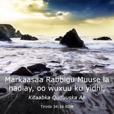 Picture 03 - Tirintii 34:16 SOM - Markaasaa Rabbigu Muuse la hadlay, oo wuxuu ku - Bible Verse Picture