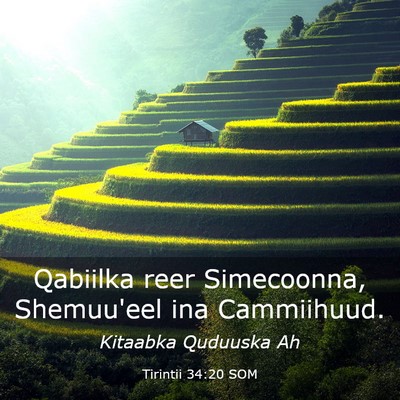 Picture 03 - Tirintii 34:20 SOM - Qabiilka reer Simecoonna, Shemuu'eel ina - Bible Verse Picture