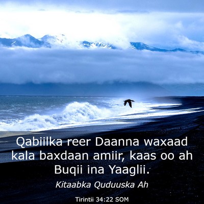 Picture 03 - Tirintii 34:22 SOM - Qabiilka reer Daanna waxaad kala baxdaan amiir, - Bible Verse Picture