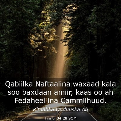 Picture 03 - Tirintii 34:28 SOM - Qabiilka Naftaalina waxaad kala soo baxdaan - Bible Verse Picture