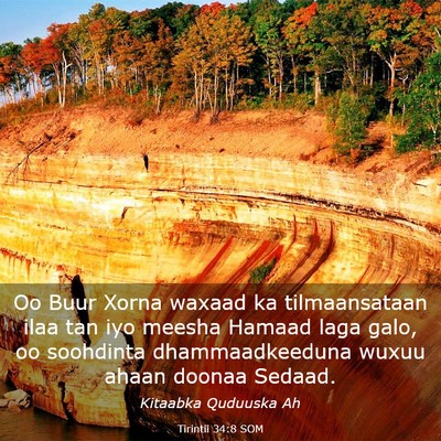 Picture 03 - Tirintii 34:8 SOM - Oo Buur Xorna waxaad ka tilmaansataan ilaa tan - Bible Verse Picture