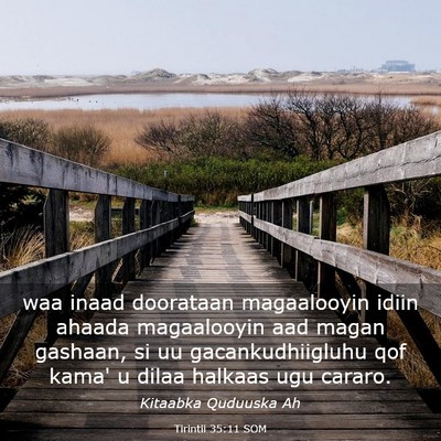 Picture 03 - Tirintii 35:11 SOM - waa inaad doorataan magaalooyin idiin ahaada - Bible Verse Picture