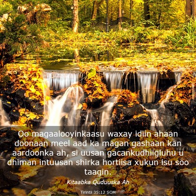 Picture 03 - Tirintii 35:12 SOM - Oo magaalooyinkaasu waxay idiin ahaan doonaan - Bible Verse Picture