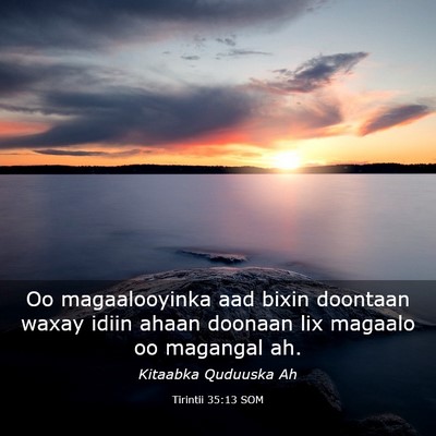 Picture 03 - Tirintii 35:13 SOM - Oo magaalooyinka aad bixin doontaan waxay idiin - Bible Verse Picture