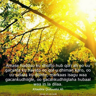 Picture 03 - Tirintii 35:18 SOM - Amase hadduu ku dhufto hub qori ah oo uu gacanta - Bible Verse Picture