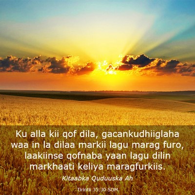 Picture 03 - Tirintii 35:30 SOM - Ku alla kii qof dila, gacankudhiiglaha waa in la - Bible Verse Picture
