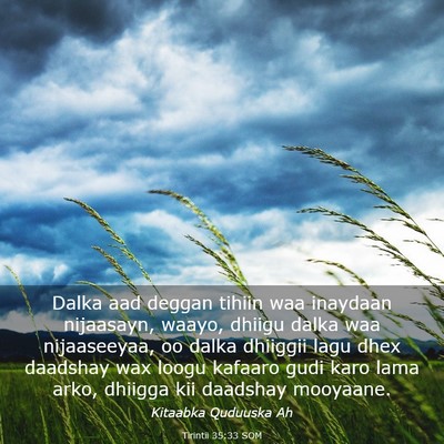 Picture 03 - Tirintii 35:33 SOM - Dalka aad deggan tihiin waa inaydaan nijaasayn, - Bible Verse Picture