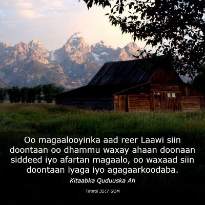 Picture 03 - Tirintii 35:7 SOM - Oo magaalooyinka aad reer Laawi siin doontaan oo - Bible Verse Picture