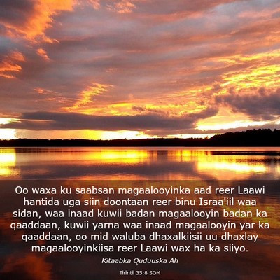 Picture 03 - Tirintii 35:8 SOM - Oo waxa ku saabsan magaalooyinka aad reer Laawi - Bible Verse Picture