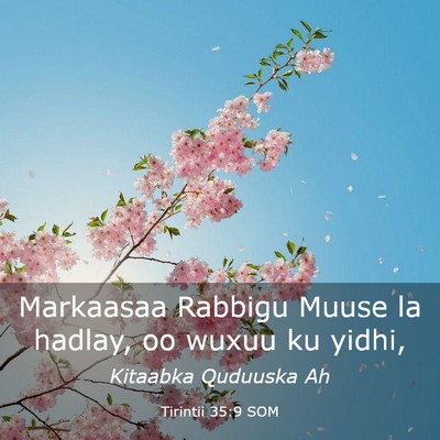 Picture 03 - Tirintii 35:9 SOM - Markaasaa Rabbigu Muuse la hadlay, oo wuxuu ku - Bible Verse Picture