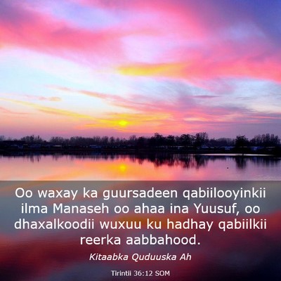 Picture 03 - Tirintii 36:12 SOM - Oo waxay ka guursadeen qabiilooyinkii ilma - Bible Verse Picture