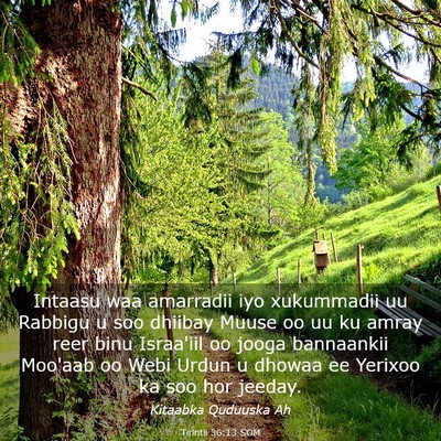 Picture 03 - Tirintii 36:13 SOM - Intaasu waa amarradii iyo xukummadii uu Rabbigu u - Bible Verse Picture