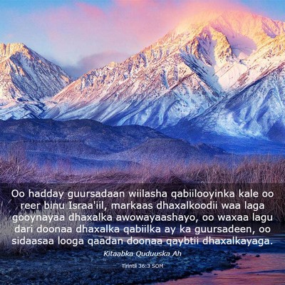 Picture 03 - Tirintii 36:3 SOM - Oo hadday guursadaan wiilasha qabiilooyinka kale - Bible Verse Picture