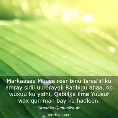 Picture 03 - Tirintii 36:5 SOM - Markaasaa Muuse reer binu Israa'iil ku amray - Bible Verse Picture