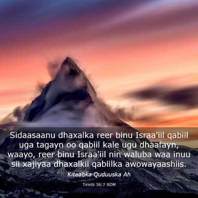 Picture 03 - Tirintii 36:7 SOM - Sidaasaanu dhaxalka reer binu Israa'iil qabiil - Bible Verse Picture