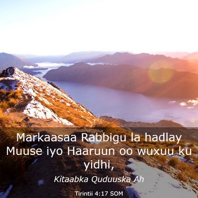 Picture 03 - Tirintii 4:17 SOM - Markaasaa Rabbigu la hadlay Muuse iyo Haaruun oo - Bible Verse Picture