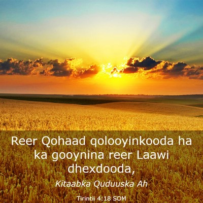 Picture 03 - Tirintii 4:18 SOM - Reer Qohaad qolooyinkooda ha ka gooynina reer - Bible Verse Picture