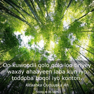 Picture 03 - Tirintii 4:36 SOM - Oo kuwoodii qolo qolo loo tiriyey waxay ahaayeen - Bible Verse Picture