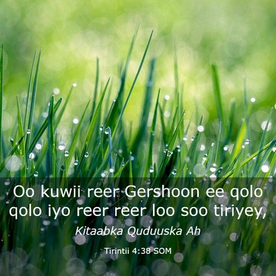 Picture 03 - Tirintii 4:38 SOM - Oo kuwii reer Gershoon ee qolo qolo iyo reer reer - Bible Verse Picture