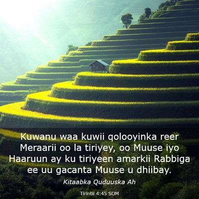 Picture 03 - Tirintii 4:45 SOM - Kuwanu waa kuwii qolooyinka reer Meraarii oo la - Bible Verse Picture