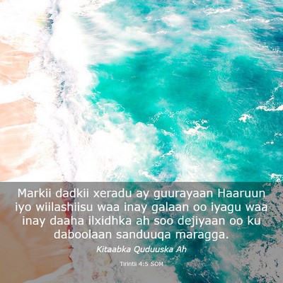 Picture 03 - Tirintii 4:5 SOM - Markii dadkii xeradu ay guurayaan Haaruun iyo - Bible Verse Picture