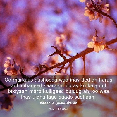 Picture 03 - Tirintii 4:6 SOM - Oo markaas dushooda waa inay ded ah harag - Bible Verse Picture